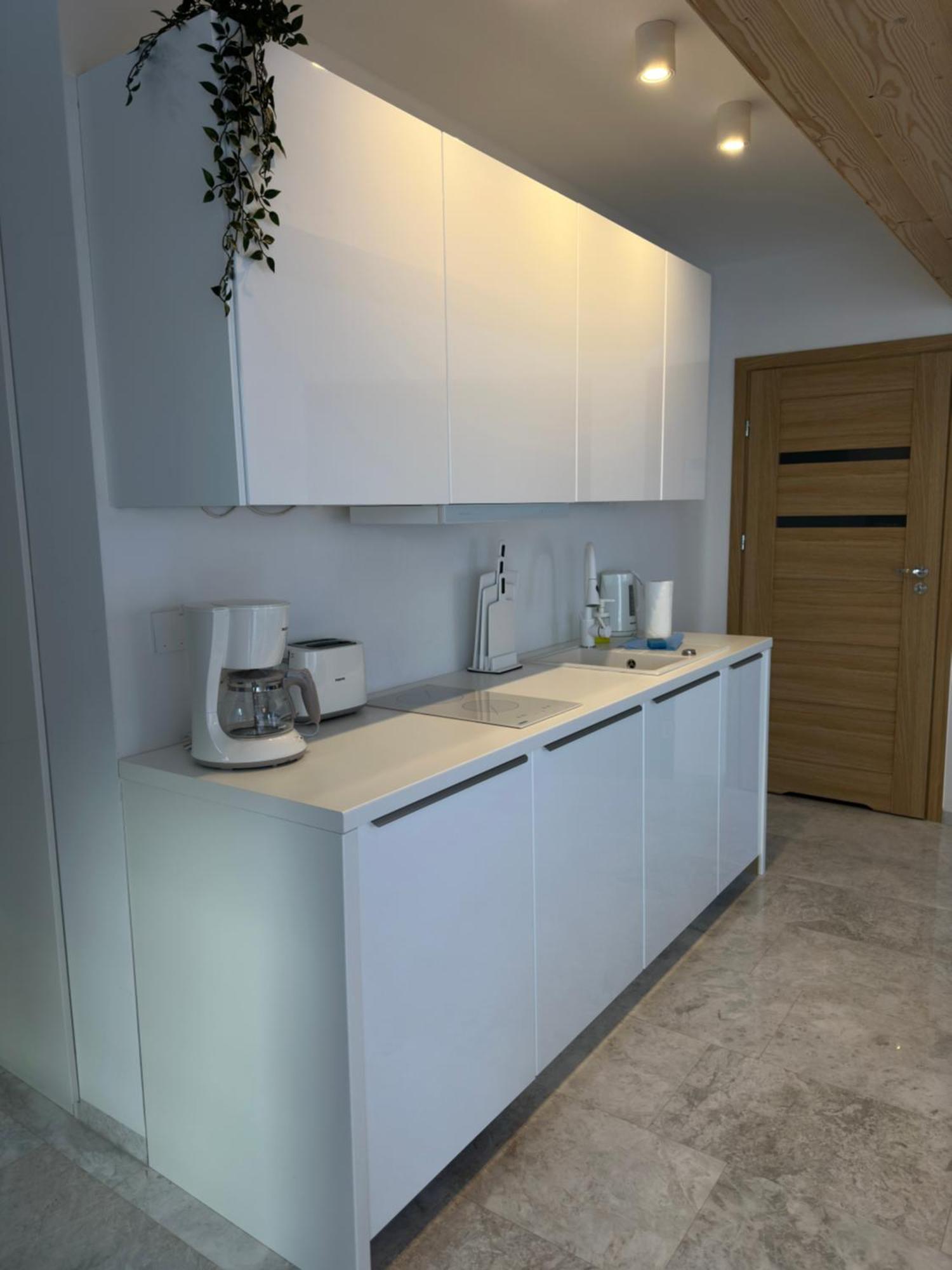 Apartamenty Willa Nika Zakopane Extérieur photo